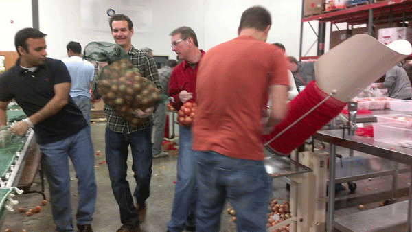 Axonom sorts, weighs and packs onions for local food shelves.
